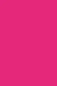 在飛比找博客來優惠-Dot Grid Pink Daisy colored Bu