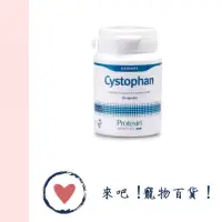 在飛比找蝦皮購物優惠-《VET dicate寵特寶》安泌利 Cystophan