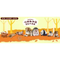 在飛比找蝦皮購物優惠-【整組現貨秒出】全家休眠動物園 棕熊 刺蝟 海獺 橘貓 全家