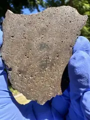 meteorite:NWA 13791 Weight: 14.906 Grams.