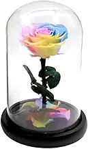 Natural Eternal Life Rose in Glass Dome On Wooden Base Preserved Real Rose Valentine's Day Gift Home Table Wedding Decor(Multi-Colored,15X22CM)