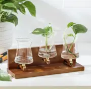 Better Homes and Gardens 3 Beaker Propagation Station