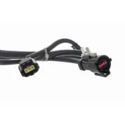 Complete Fuel Pump Assembly For Ford Taurus 1996 (for: Ford)