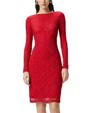Pinko Aaron Dress