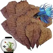 Betta Shrimp Leaves - Catappa Leaves for Hermit Crabs,PH Balance Water Conditioner for Fish Tank, Turtle Tank, and Aquarium, Nest Accessories for Snakes, Lizards, Frogs