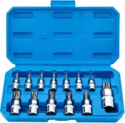 Torx Bit Socket Set 13pcs 3/8" Dr. T8 - T70 E Star Premium S2 Alloy Steel Cr-V S