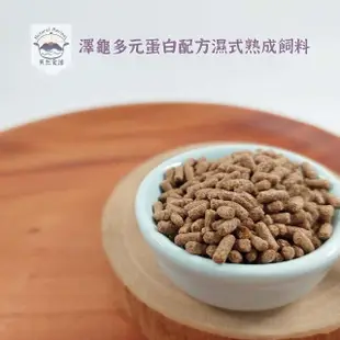 【Natural Recipes 天然食譜】澤龜多元蛋白配方濕式熟成飼料350g(屋頂龜 巴西龜 長尾龜 地圖龜 爬蟲飼料)