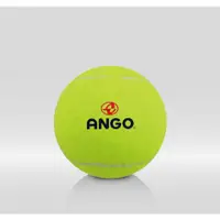 在飛比找蝦皮商城優惠-【ANGO】STAR硬式教學用網球 網球集球器組