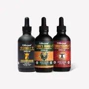 [Lifecykel] This Is It Pack - Lion's Mane, Chaga & Cordyceps, 60ml
