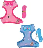 FUTUREORYY 2 Sets Pet Chicken Harness Hen Leash Pulling Rope Long Traction for Outdoor Party Adorable Hen Vest
