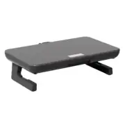 Desktop Ergonomic Monitor Stand Riser with Storage Organizer for Computer Laptop
