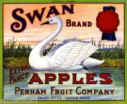 Yakima Washington Swan Apple Fruit Crate Box Label Art Print