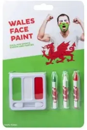 WALES RUGBY SIX NATIONS 2024 FACEPAINT RUGBY SUPPORTERS DRAGON FLAG