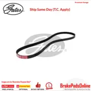 Gates V-Ribbed AT Belt For TOYOTA Echo NCP13 1NZFE 1.5L VVTi Petrol 4Cyl FWD (for: Toyota)