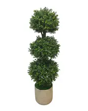Creative Displays Green Boxwood Topiary in Fiberstone Planter
