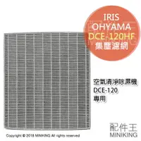 在飛比找樂天市場購物網優惠-日本代購 空運 IRIS OHYAMA DCE-120HF 