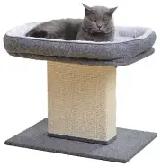 Catry Cat Bed with Scratching Post - Minimalist Style Design of Cat Tree with...