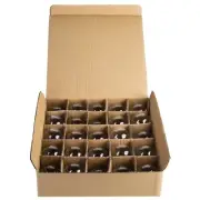 Box of 25 G50 Clear 2” 7W C7 E12 Replacement Bulbs for String Lights