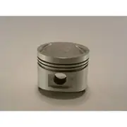 Austral Piston Set - PO1263B 020
