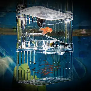 塑料魚養殖隔離保護箱水族箱炸魚孵化場
