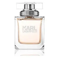 在飛比找Yahoo奇摩購物中心優惠-Karl Lagerfeld 卡爾同名時尚女性淡香精 85m
