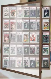 Graded Trading Card Display Case 35+ Walnut Sport Baseball Glass Wood Wall Frame