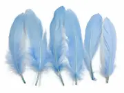 USA SELLER | 1 Pack - Light Blue Goose Satinettes loose feathers 0.3 oz. Craft