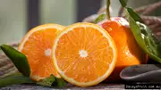 Buy Tangelo Orlando Grafted Fruit Tree(Citrus reticulata x C.paradisi)