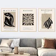 Zchdk Yhdesh Matisse Vintage Poster Flower Leaves Canvas Painting Abstract Matisse Wall Art Matisse Print Home Matisse Art Decoration Photo 40x60cmx3 Unframed