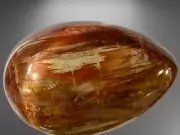 102mm 603Grm "Hand-Selected"~Madagascar Petrified Wood Crystal EASTER EGG R1395