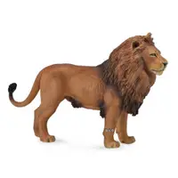 在飛比找蝦皮商城優惠-COLLECTA動物模型 - 非洲雄獅 < JOYBUS >