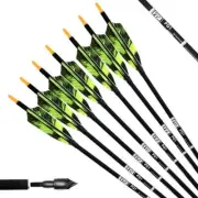 30 Inch Carbon Arrows With 4 Inch Turkey Feathers Fletching & Archery Hunting