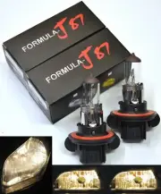 Halogen 9008 H13 100/80W 3300K Stock Two Bulbs Head Light Rally High Watt ATV