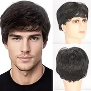 Mens Wigs Short Black Wigs for Men Layered Synthetic Full Hair Male Wigs Daily Wear Party Cospaly Costume