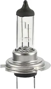 XiaoNingNing H7 100W Bulb H7 12V 100W Px26D(1 PCS)