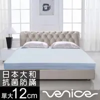 在飛比找PChome24h購物優惠-Venice 抗菌+防蹣+釋壓12cm記憶床墊-單人3.5尺