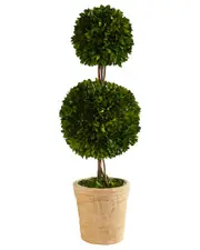 Nearly Natural 2.5ft Preserved Boxwood Double Ball Topiary Tree in Decorative Planter