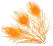 10-12Inch Dyeing Peacock Feathers Bleached Plume Wedding Table Centerpiece Pack