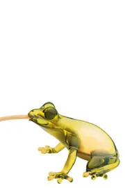 QEEBOO 'Hungry Frog' Lamp