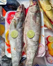 Premium Egyptian Fesikh (Bāb al-Baḥr Brand), Salted Mullet, 1 kg Whole Fish.