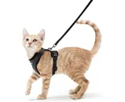Rabbitgoo Cat Harness and Leash Set, Adjustable XS Black, Reflective Vest for Small Dogs, Kittens, European Cats, Maine Coons, Persians