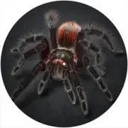 Slipmat Scratch Pad Felt for any 12" Turntable LP DJ Record Player New SPIDER 12