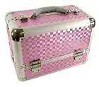 Professional Artist Makeup Train Case Organizer Gift Set (Pink)