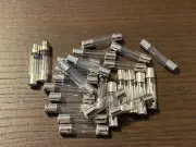 25 New Warm White 12V Fuse Lamp Light Bulbs 12v 150ma Incandescent for JVC