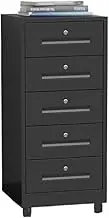 Filing Cabinet Living Room Study Storage Cabinet 5 Layer Large Capacity File Cabinet Office Data Organizer 1.2mm Thickened Steel Plate Storage Cabinet File Storage Cabinets(Black)