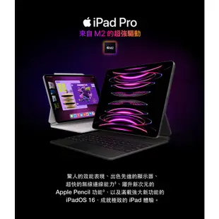APPLE iPad Pro 11.0 WiFi 128GB 256GB (2022) 神腦生活