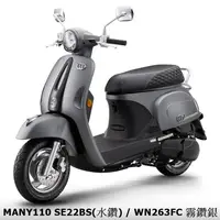 在飛比找蝦皮商城優惠-《KYMCO》光陽機車 Many 110 水鑽 七期 全新 