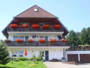 Cosy detached holiday home with terrace in the Black Forest