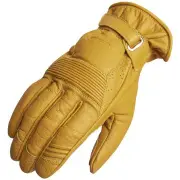 Lauder Yellow
