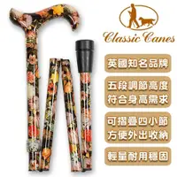 在飛比找ETMall東森購物網優惠-英國Classic Canes 可摺疊收納+調整高低手杖-4